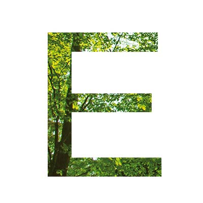 Nachhaltigkeit Buchstabe E mit Waldmotiv und grüner Natur als grafisches Gestaltungselement